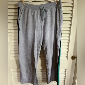 aerie athletic pants, size large